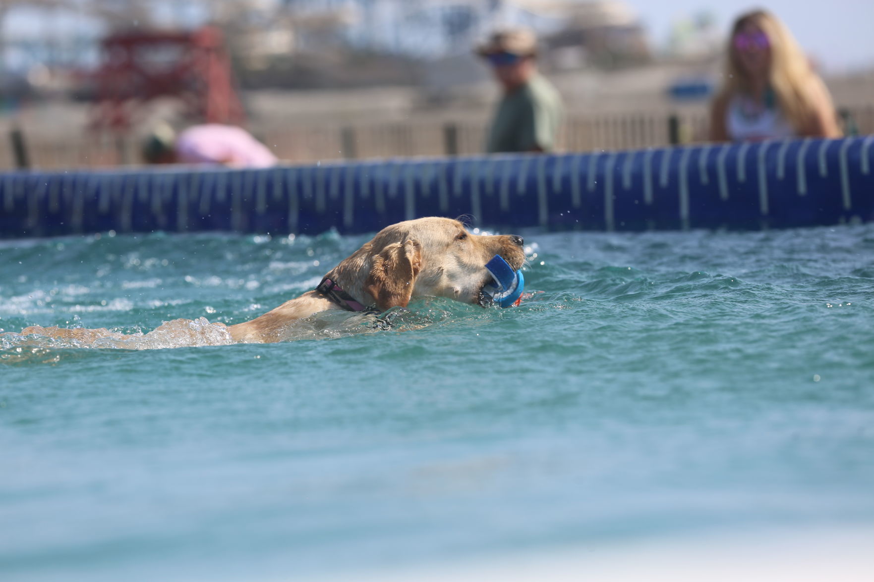 090919_gal_dockdogsWW (45)
